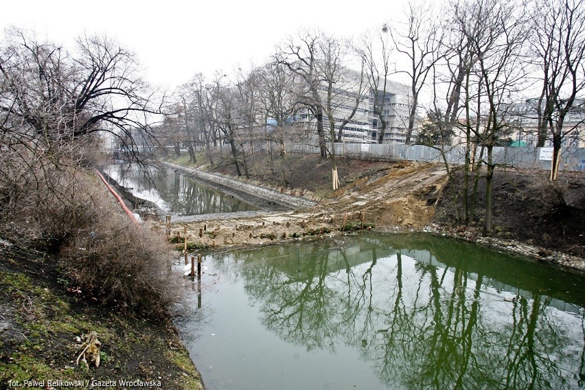 Wrocław: Coraz mniej wody w fosie miejskiej (ZDJĘCIA)