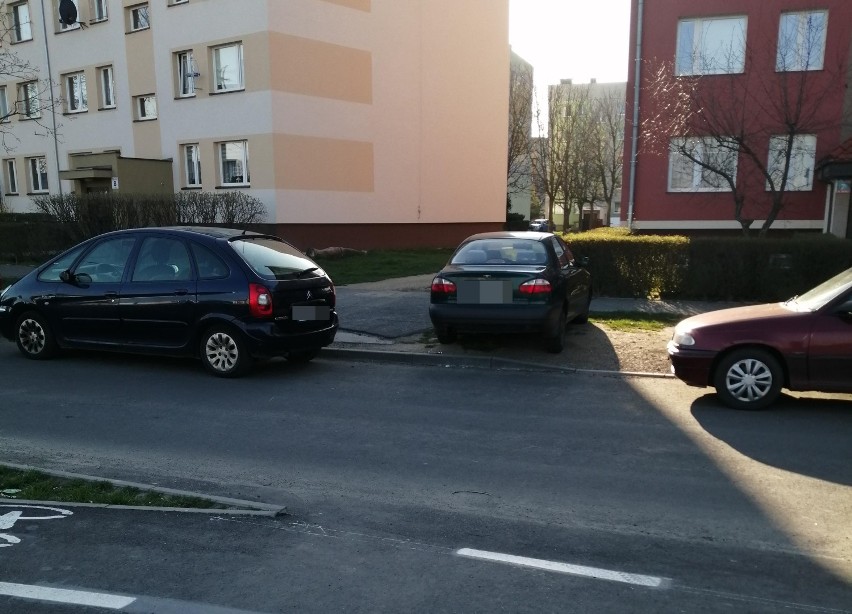 Mistrz parkowania w Legnicy -  2020