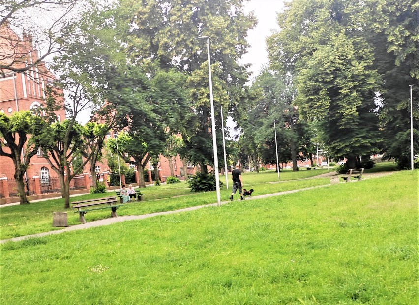 Malbork. Plac 3 Maja musi poczekać na lepsze czasy. Wykonawcy chcieli za metamorfozę tyle, co za ubiegłoroczny remont Chrobrego