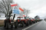 Rolnicy znów wyjechali na drogi w Wielkopolsce. 6 i 7 marca będą utrudnienia na A2 i DK11