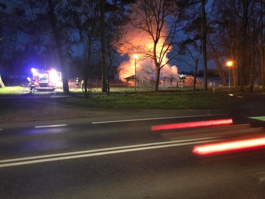 Pożar w Opatówku. Spłonął drewniany bar. To było podpalenie. ZDJĘCIA