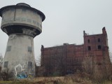 Aż strach tam wejść! Stary młyn w centrum Poznania popada w ruinę. Jaka będzie jego przyszłość? Zobacz zdjęcia!