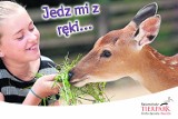 Zoo w Goerlitz - mamy dla Was bezpłatne bilety