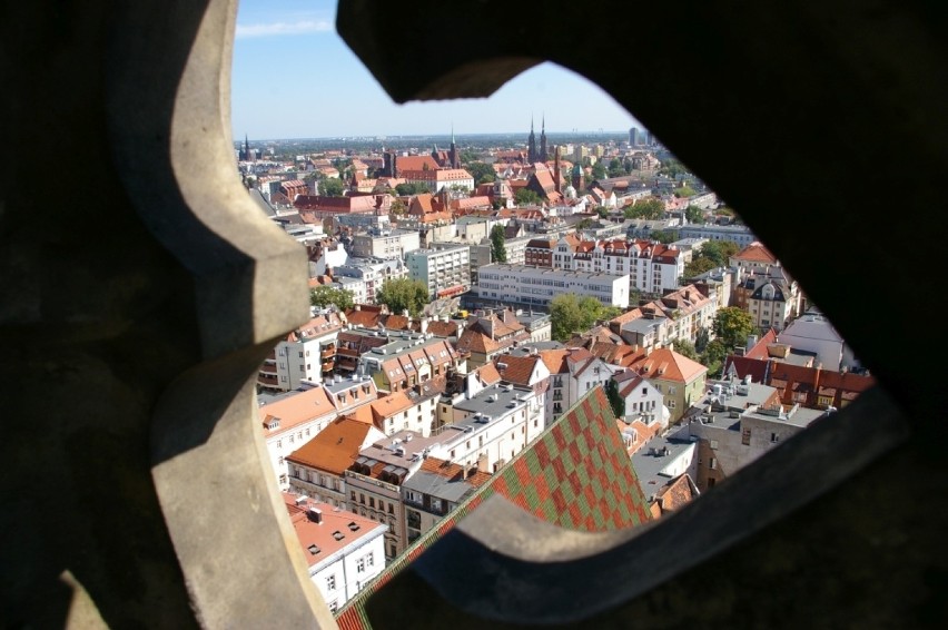 Widok z wieży kościoła garnizonowego w pobliżu Rynku