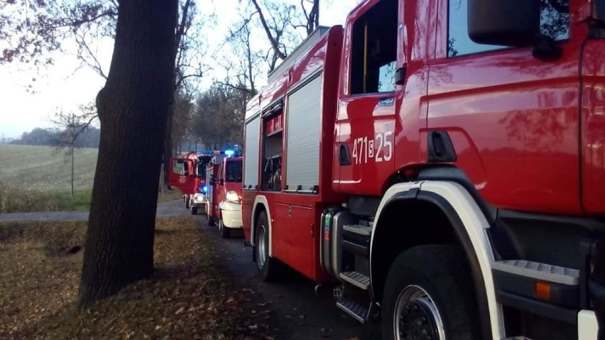 Wypadek w Pielgrzymowicach. Zderzenie dwóch samochodów. Wezwano LPR [ZDJĘCIA]