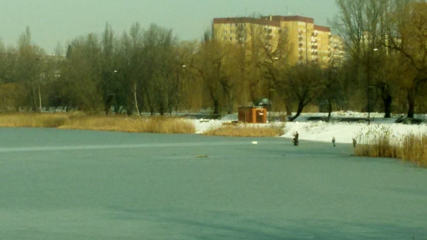 Stawiki Sosnowiec: zima powoli odchodzi, może czas na przedwiosenny spacer? [ZDJĘCIA]