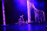 Konin. Bambi na scenie Oskardu. Szczeciński teatr wystawił sztukę dla małych i dużych
