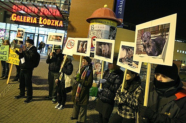 W piątek wieczorem przed wejściem do Galerii Łódzkiej grupa ok. 30 osób manifestowała z okazji Dnia bez futra.