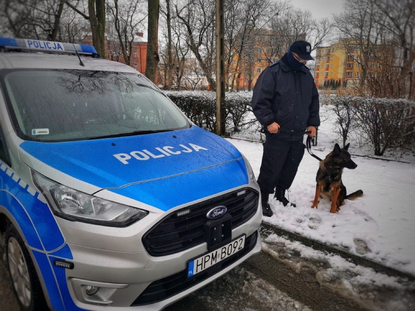 Policyjnym psom służbowym żadna pogoda nie straszna [zdjęcia]