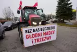 Kolejne protesty rolników w powiecie tczewskim. Traktory na rondzie, blokady na przejściach dla pieszych 