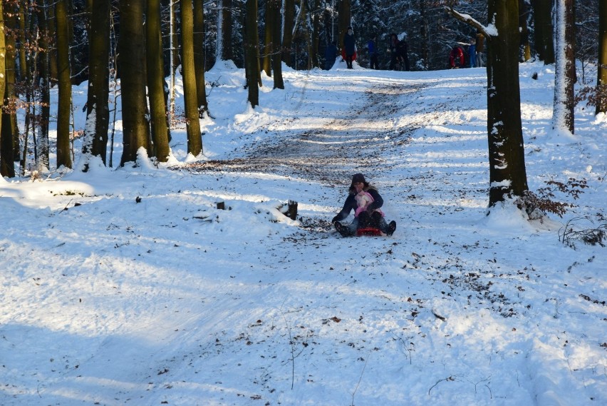 Górka Narciarza jest zarośnięta. Na nartach zjechać tam się...