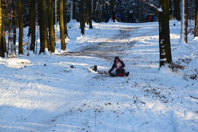 Górka Narciarza jest zarośnięta. Na nartach zjechać tam się nie da. Za to w jej sąsiedztwie jest sporo stromych ścieżek, które świetnie nadają się do zjazdu na sankach.