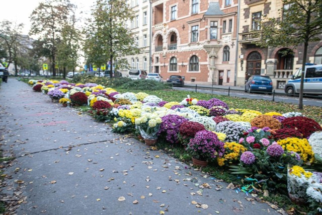 Setki chryzantem ustawionych pod siedzibą PiS w Krakowie na ulicy Retoryka. Kwiaty stoją tam od początku listopada