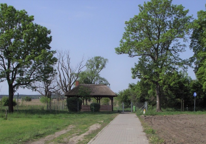 Ścieżka rowerowa Zbąszyń - Nowa Wieś Zbąska - Zbąszyń 17 maja 2020