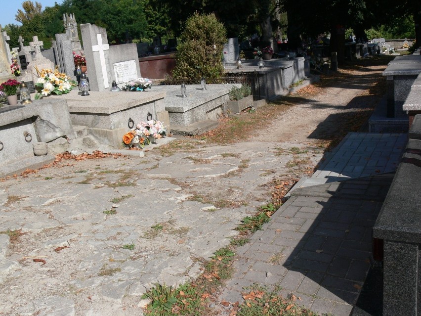 Mieszkańcy Sandomierza wstydzą się za wygląd alejek na Cmentarzu Parafialnym świętego Pawła i apelują do władz miasta o remont [ZDJĘCIA