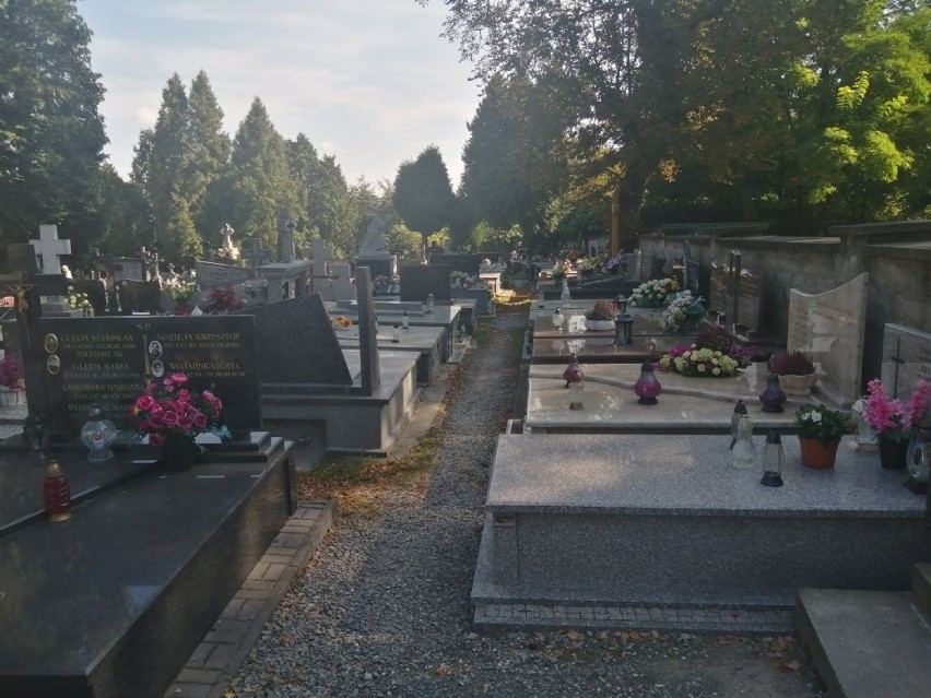 Mieszkańcy Sandomierza wstydzą się za wygląd alejek na Cmentarzu Parafialnym świętego Pawła i apelują do władz miasta o remont [ZDJĘCIA