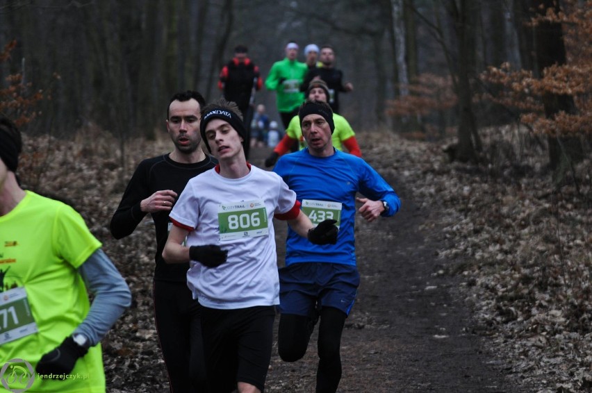 City Trail w Katowicach - zdjęcia z finałowego biegu [28 luty 2016]