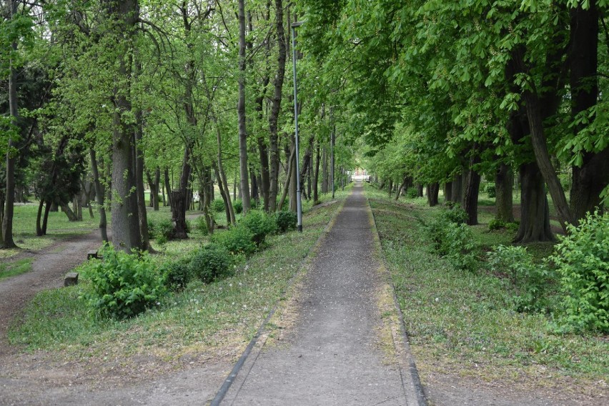 Majówka podczas epidemii. Spacerowicze w parkach i na ulicach