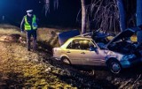 Auto zderzyło się z łosiem. Na starej ósemce doszło do wypadku