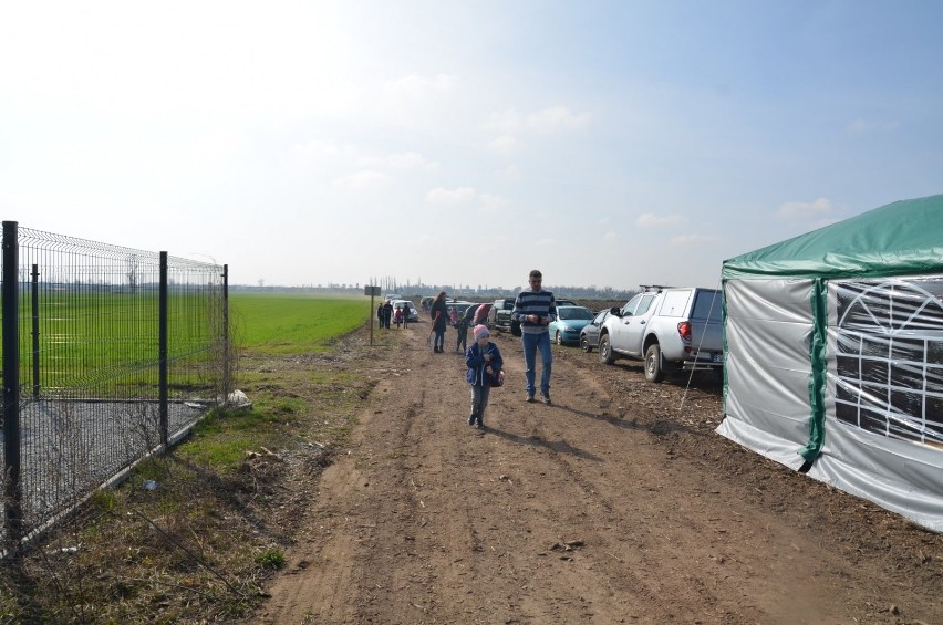 Gmina Czerniejewo. Był las i... znów będzie. Mieszkańcy w akcji "Nowy las dla Żydowa" [FOTO, VIDEO]