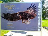Wystawa fotograficzna przy Alei Solidarności w Toruniu  „Okiem orła”