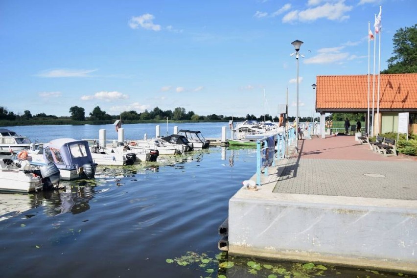 Malbork. Wypożyczalnia sprzętu pływającego tym razem w innym miejscu. Zmianę wymusiły inwestycje 