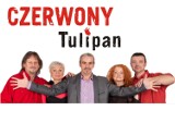 10-lecie Komitywy: koncert "Czerwonego Tulipana" 