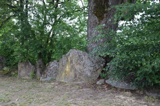 Oto słynne "zęby" hrabiego Glasenappa