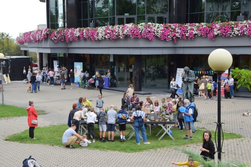 PiKniCK na trawie w centrum Kielc. Dzieci i rodzice mieli wspaniałą przygodę ze sztuką [WIDEO, ZDJĘCIA]