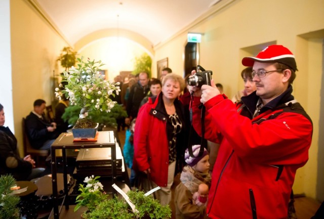 Święto Kwiatów w Warszawie. Będzie można oglądać i kupować [PROGRAM]