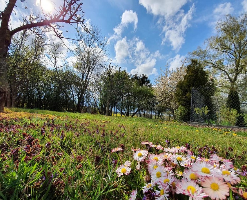 Wiosenny krajobraz w gminie Postomino [ZDJĘCIA]