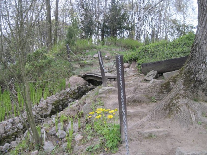 Ogród Botaniczny UMCS w najbliższą niedzielę rozpoczyna kolejny sezon kilkoma atrakcjami 