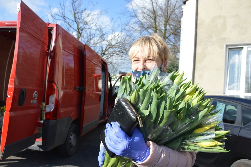 Koronawirus, Piotrków. Tulipany od ogrodnika po kosztach - piotrkowianie pomogli w zbyciu kwiatów [ZDJĘCIA]