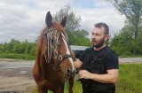 Babice. Kasztanka ze Śląska postanowiła zwiedzić Małopolskę