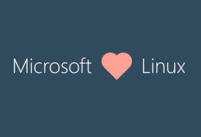 "Microsoft"_i_"Linux".