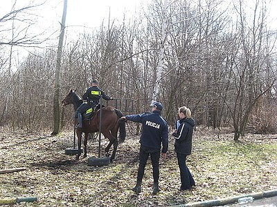 Chorzów: Policyjne konie przechodzą atestację