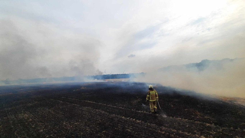 Niebezpieczne pożary pól w gminach Duszniki i Pniewy 