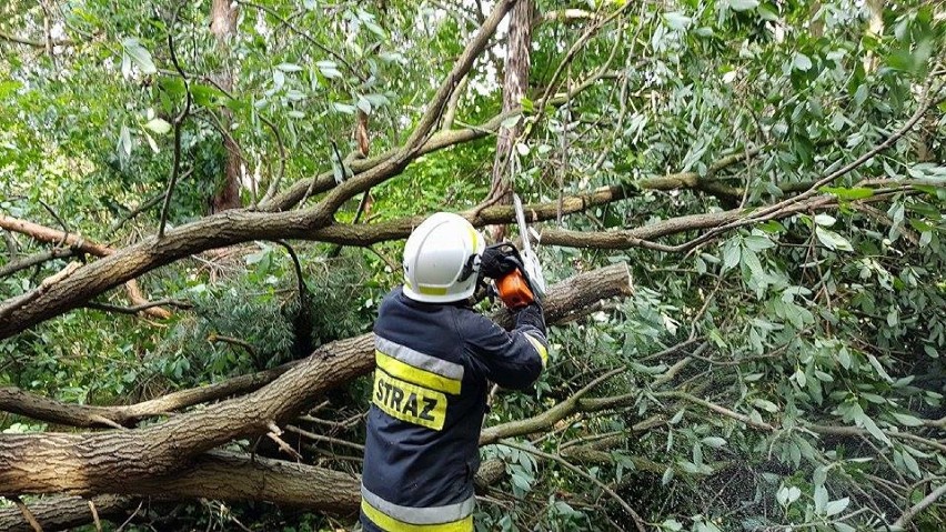 Sierpniowa burza w powiecie puckim: Hel