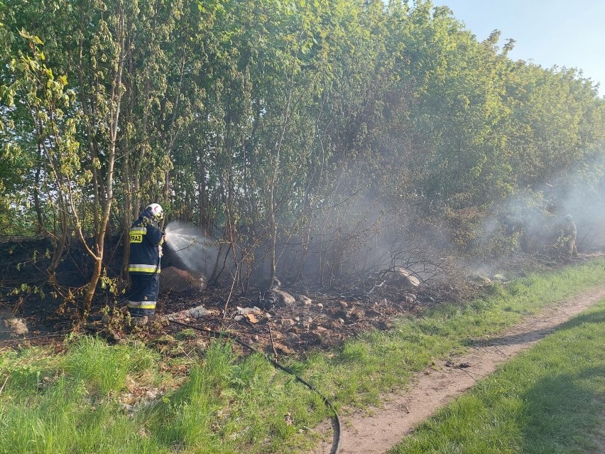 Pożar trawy pod Skokami. Interweniowali strażacy