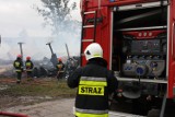 Gmina Kolbudy: Wóz strażacki za milion złotych na 60. urodziny OSP Pręgowo
