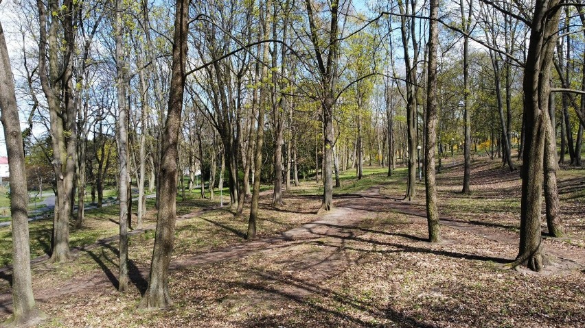 Piękna pogoda w Zielonej Górze. Park Tysiąclecia budzi się...