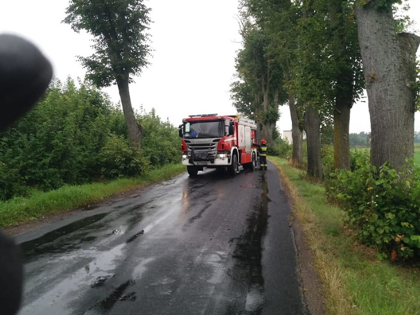 Ciężarówka wjechała do rowu pod Grudziądzem [zdjęcia]