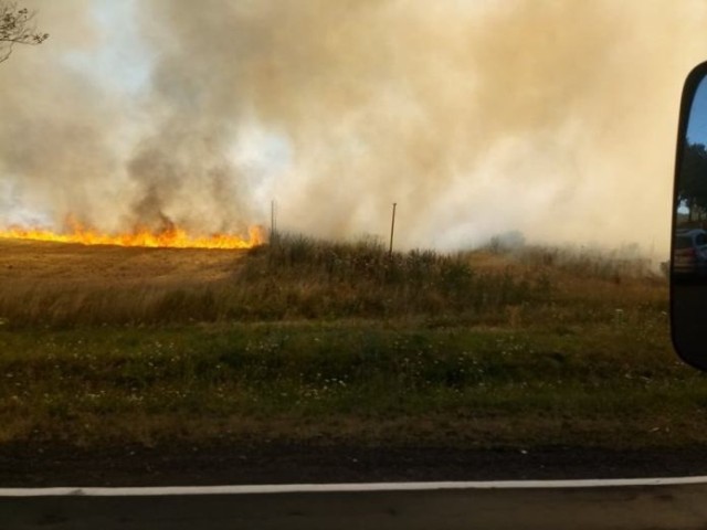 Akcję gaśniczą utrudniała strażakom bardzo wysoka temperatura.