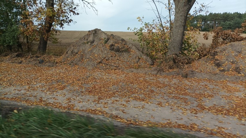 Teren jest szykowany pod budowę ścieżki rowerowej