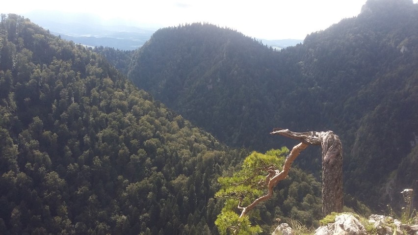 Pieniny - szybka rodzinna wycieczka na weekend