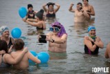 Opolskie morsy rozpoczęły sezon. Na kąpielisku Bolko zebrało się kilkadziesiąt miłośników zimnych kąpieli [ZDJĘCIA]
