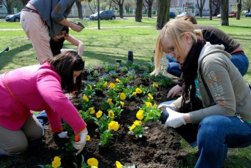 Guerilla Gardening