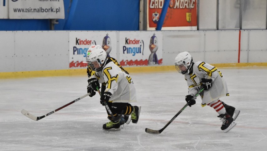 Hokej w Malborku. Turniej najmłodszych drużyn na miejskim lodowisku. Grali kilkulatkowie [ZDJĘCIA]