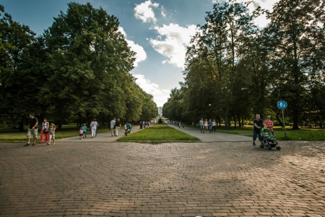 Park Śląski: Siedem wycieczek na 85 urodziny Parku Śląskiego