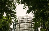 Dłuższa i droższa przebudowa oliwskiej palmiarni. Palmiarnia w Parku Oliwskim w przebudowie. Kiedy będzie można ją zwiedzać? 